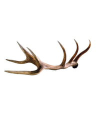 Vrai bois de cerf rouge