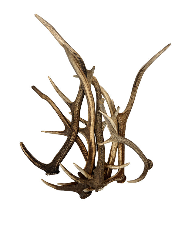 Bois artisanaux en véritable cerf rouge