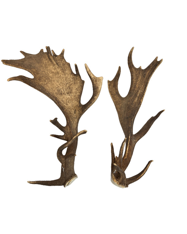 Damhrsich Abwurfstange