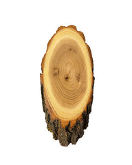 Akazien Trophäenschild für Rhbock