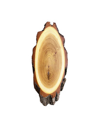 Akazien-Trophäenschilder 22cm online kaufen bei SWISSskulls – hochwertige Montageplatten für Jagdtrophäen.