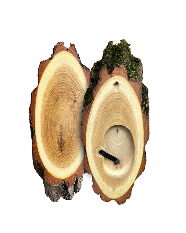 Akazien-Trophäenschilder 22cm mit Kieferfach online kaufen bei SWISSskulls – hochwertige Montageplatten für Jagdtrophäen.