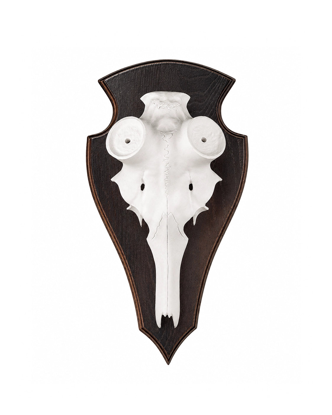 Buy Red Deer Skull | Aluminum Skull – SWISSskulls International