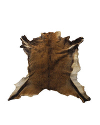 Real ibex fur