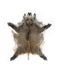 Real wild boar fur