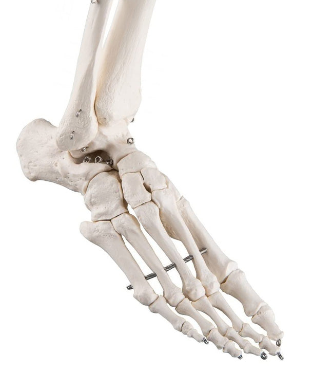Replica additional equipment flexible foot, right