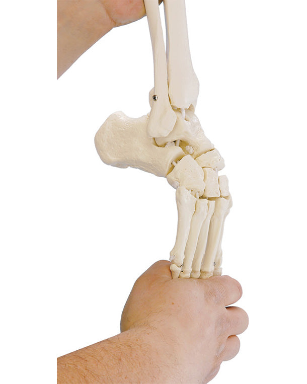 Replica additional equipment flexible foot, right