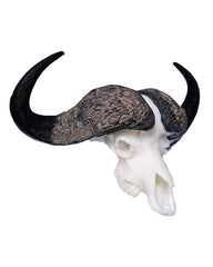 SKULLIES Miniature Cape Buffalo Skull