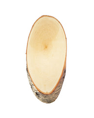 Plaque trophée bouleau 20x10cm