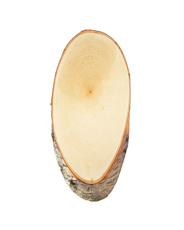 Plaque trophée bouleau 20x10cm