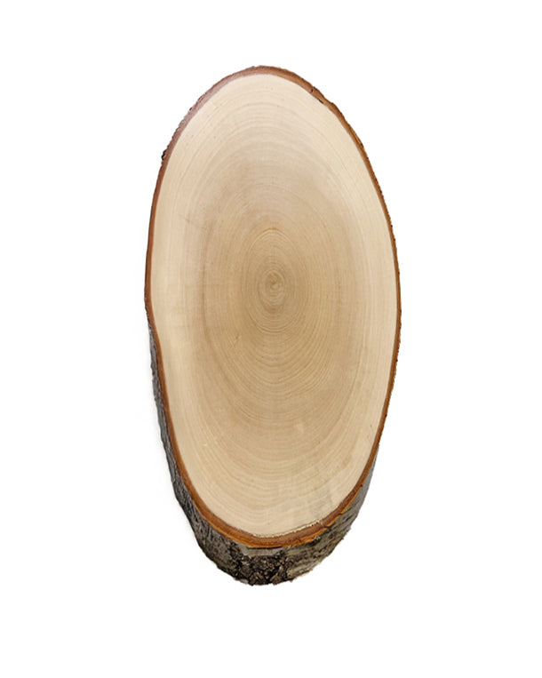 Birch trophy plaque 45x21cm