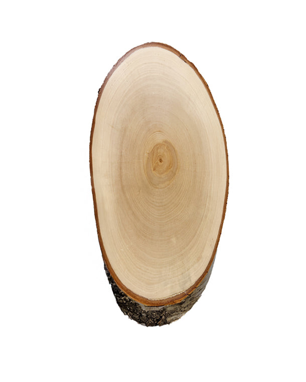 birch trophy shield 40x21cm