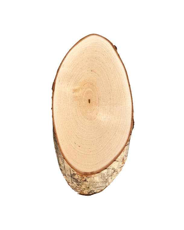 Birken-Trophäenschilder für Rehböcke und Gams, ca. 22x12 cm – aus heimischem Birkenholz gefertigt, beliebt bei Jägern, für eine natürliche und ansprechende Präsentation von Jagdtrophäen.