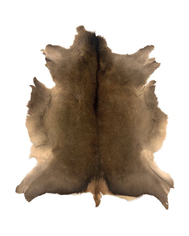 Originales Schweizer Rothirschfell (ca. 110 × 90 cm) mit dichter, seidig glänzender Fellstruktur und charakteristischer Zeichnung; stammt aus nachhaltiger lokaler Jagd zur Bestandsregulierung und eignet sich als dekoratives Wohnaccessoire