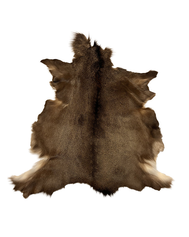 Ein Sikahirschfell auf einer Bank im Freien; dank seiner isolierenden Eigenschaften und der hohlen Haare bietet es bei kaltem Wetter angenehme Wärme und bleibt auch im Sommer kühl – ideal für Gartenbänke, Stühle oder als Picknickdecke