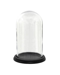 Eine Glasglocke mit einem präparierten Schädel und Lichterkette; der glasklare Dome schützt das Objekt und wirkt zugleich als dekorativer Blickfang für Wohnzimmer oder Büro