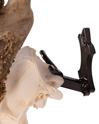 Support mural en bois de cerf