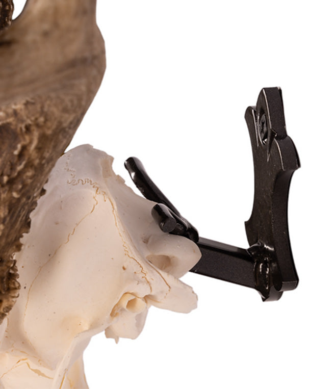 Support mural en bois de cerf