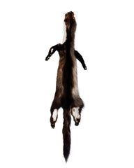Real Marten Fur Round