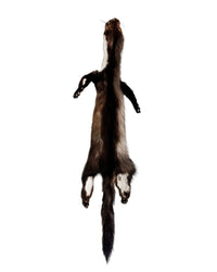 Real Marten Fur Round