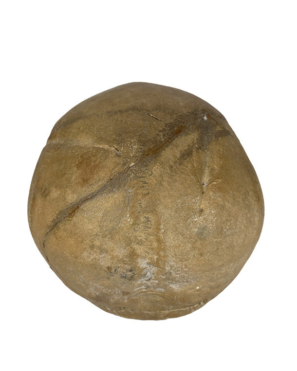 Real Human Pirate Skull