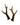 Real roe deer antlers (pair)