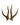 Real roe deer antlers (pair)