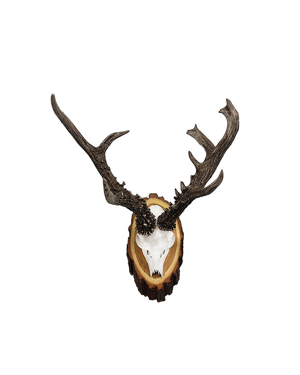 Real Siberian Roebuck Trophy