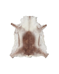 Real reindeer fur