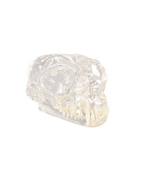 Replica Transparent Cat Model