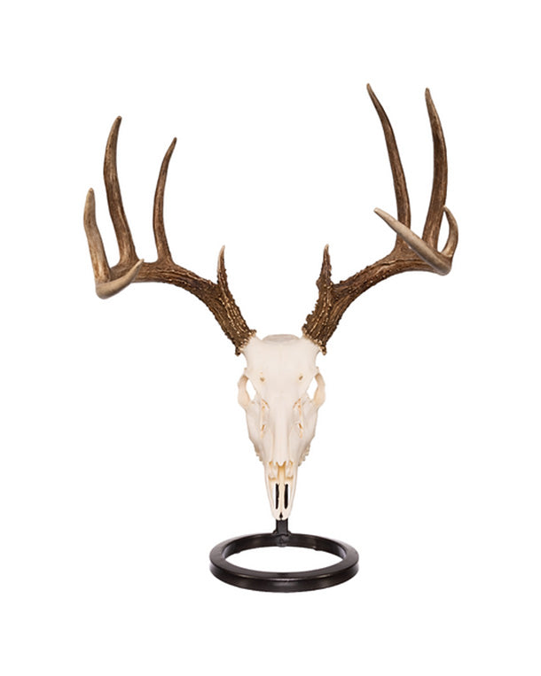 Support de table tête de mort taille moyenne