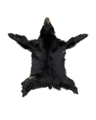 Real black bear fur