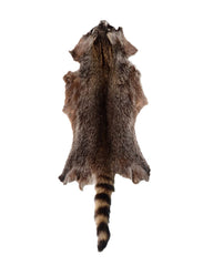 Real raccoon fur