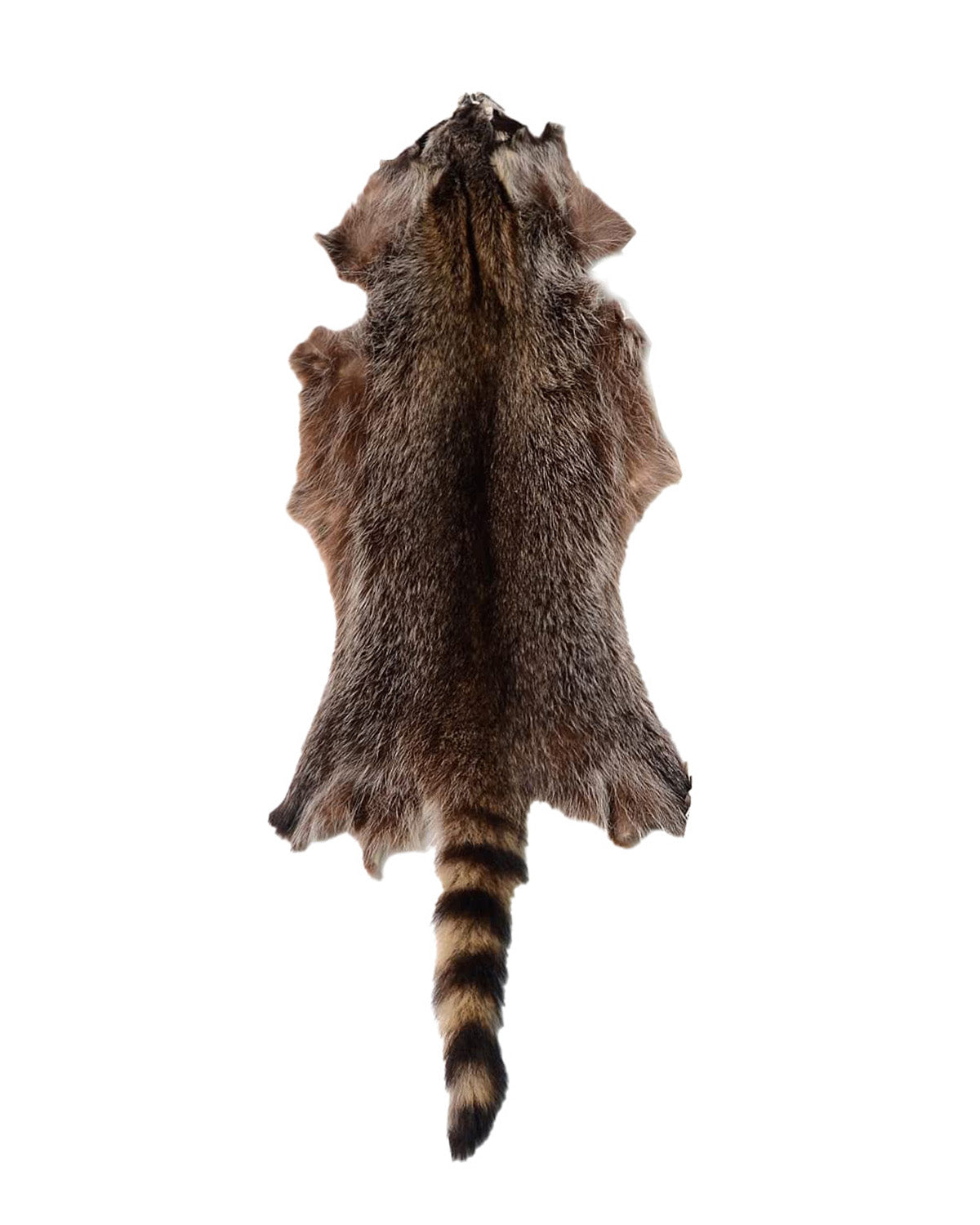 Real raccoon fur