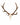 Rothirsch Geweihe kaufen bei SWISSksulls dein Händler für Jagdtophäen und Schädel aber auch Geweihe