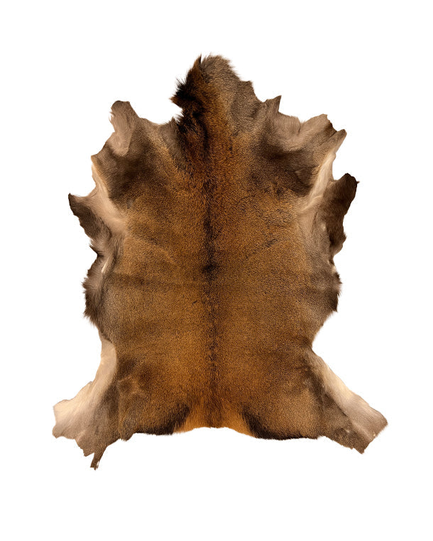 Felle von Cervidae kaufen: Rothirschfelle, Damhirschfelle, Sikahirschfelle, Rentierfelle und Rehfelle bei SWISSskulls International. Hirschdecken professionell gerben lassen – dein Online-Händler aus der Schweiz.