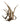 Real red deer craft antlers