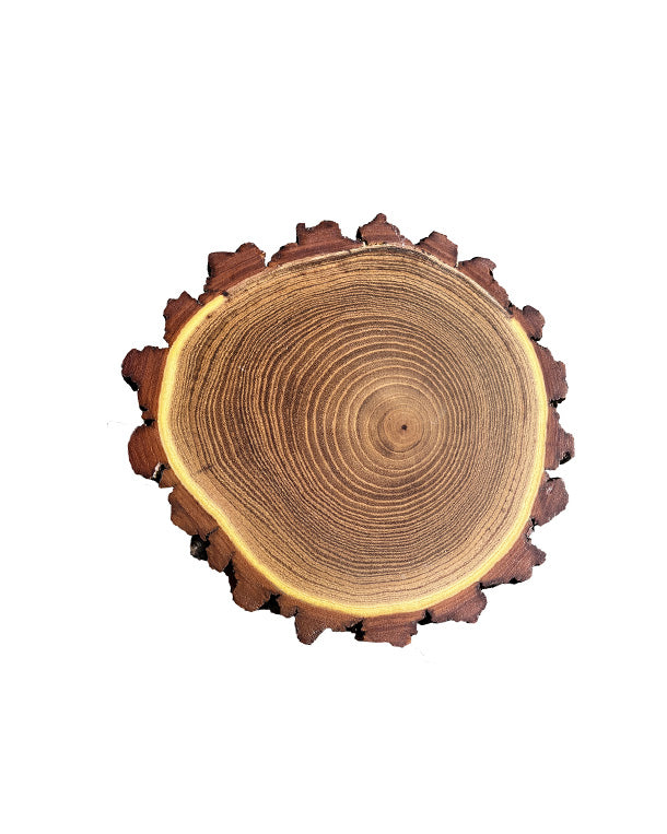 Acacia trophy shield round wood 