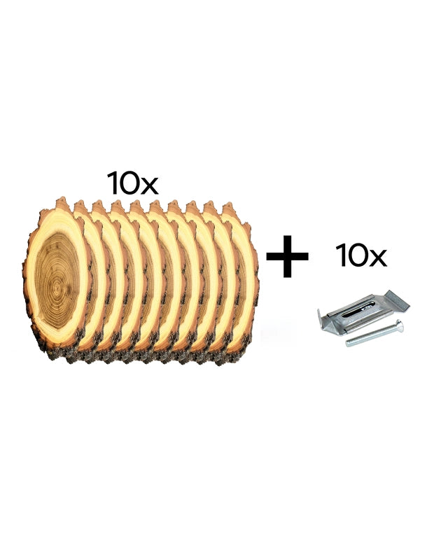 Akazien Trophäenschilder 10er Set mit Klammer kaufen bei SWISSskulls