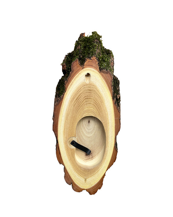 Akazien-Trophäenschilder 22cm mit Kieferfach online kaufen bei SWISSskulls – hochwertige Montageplatten für Jagdtrophäen.