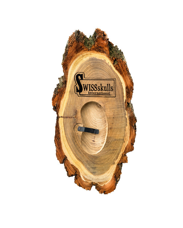 Akazien-Trophäenschilder 25cm mit Kieferfach online kaufen bei SWISSskulls – hochwertige Montageplatten für Jagdtrophäen.