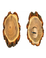 Akazien-Trophäenschilder 25cm mit Kieferfach online kaufen bei SWISSskulls – hochwertige Montageplatten für Jagdtrophäen.
