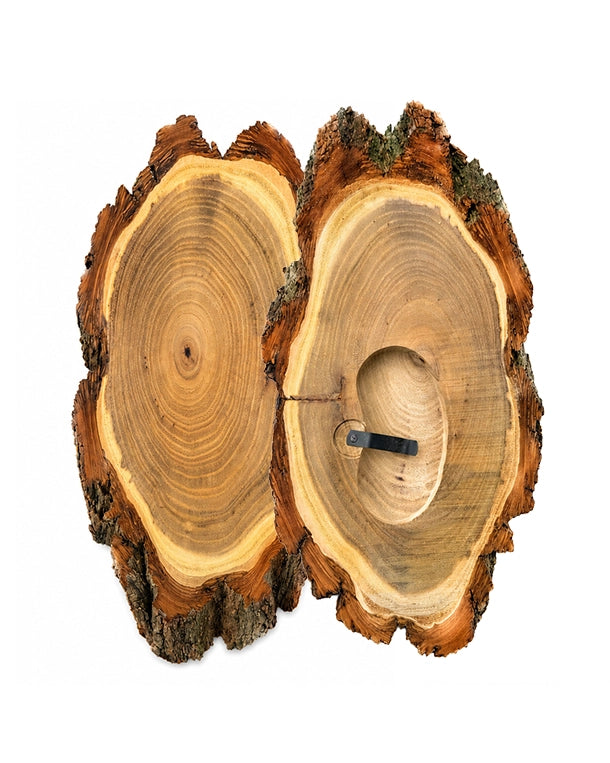 Akazien-Trophäenschilder 25cm mit Kieferfach online kaufen bei SWISSskulls – hochwertige Montageplatten für Jagdtrophäen.