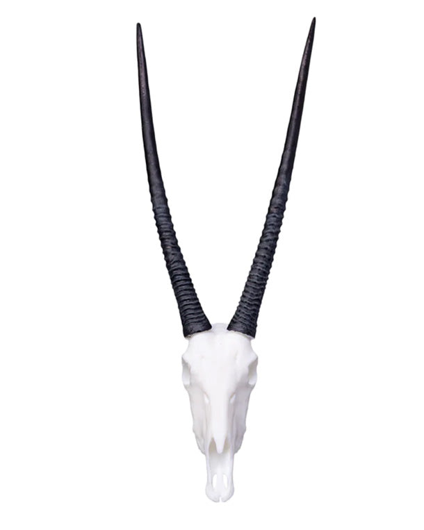 SKULLIES Miniature Oryx Skull 