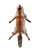 Rotfuchs Fell Offen