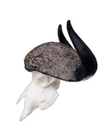 SKULLIES Miniature Cape Buffalo Skull 