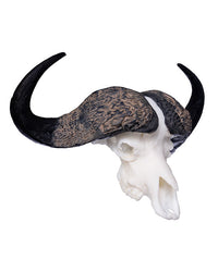 SKULLIES Miniature Cape Buffalo Skull 