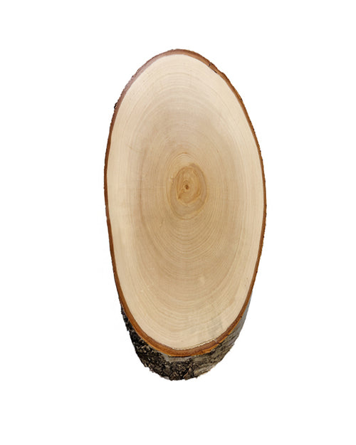 birch trophy shield 40x21cm