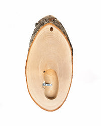 Birken-Trophäenschilder für Rehböcke und Gams, ca. 22x12 cm – aus heimischem Birkenholz gefertigt, beliebt bei Jägern, für eine natürliche und ansprechende Präsentation von Jagdtrophäen mit Kieferfach.