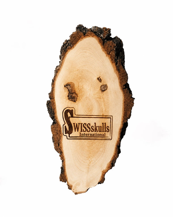 Birken Schild mit Groberborke ohne Bohrung ohne Kieferfach mit SWISSsklls Gravur